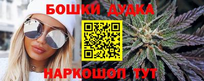 прущие грибы Лесосибирск
