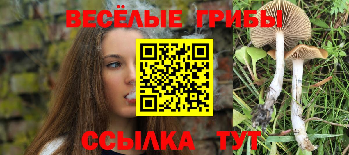 Галлюциногенные грибы GOLDEN TEACHER  Вход с VPN  Галлюциногенные грибы Psilocybe  Усолье-Сибирское 